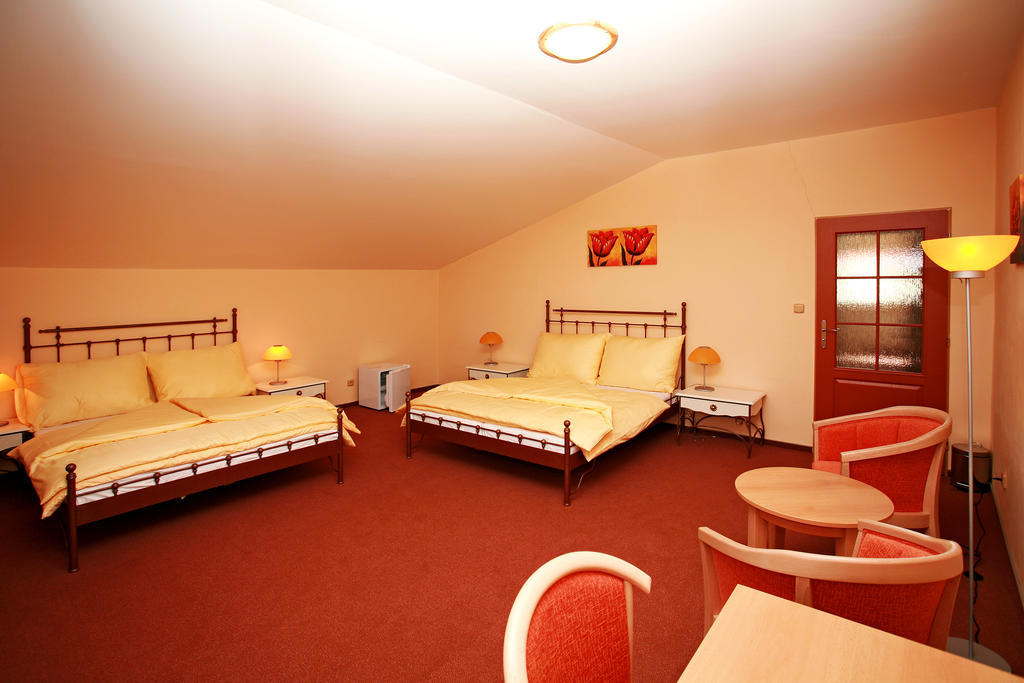 Sporthotel Patriot Litoměřice Rum bild